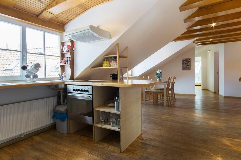 Private Sauna & 4 Bedrooms Old Town Rooftop Apartment ヴィリニュス エクステリア 写真
