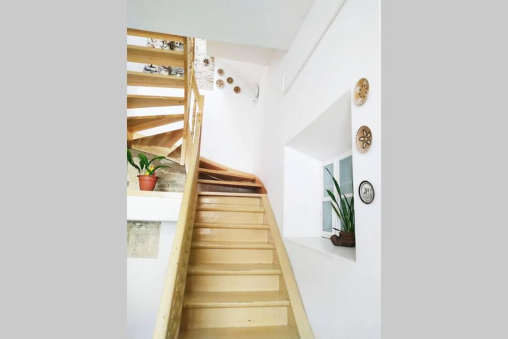 Private Sauna & 4 Bedrooms Old Town Rooftop Apartment ヴィリニュス エクステリア 写真