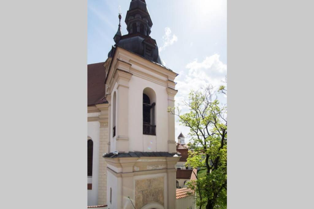 Private Sauna & 4 Bedrooms Old Town Rooftop Apartment ヴィリニュス エクステリア 写真