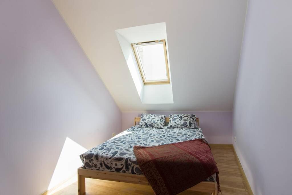 Private Sauna & 4 Bedrooms Old Town Rooftop Apartment ヴィリニュス エクステリア 写真