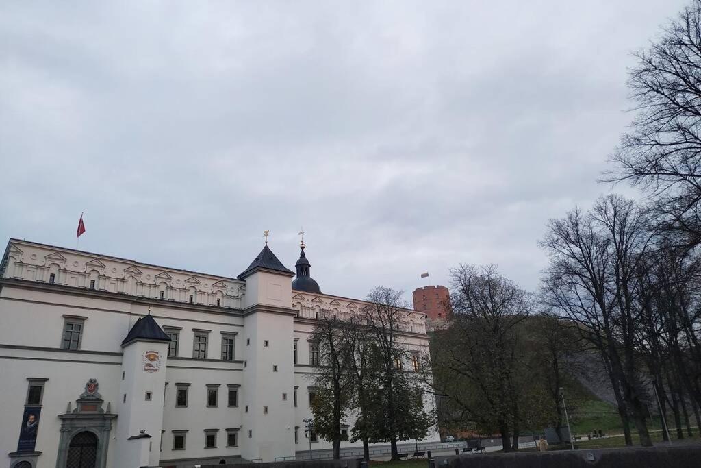 Private Sauna & 4 Bedrooms Old Town Rooftop Apartment ヴィリニュス エクステリア 写真