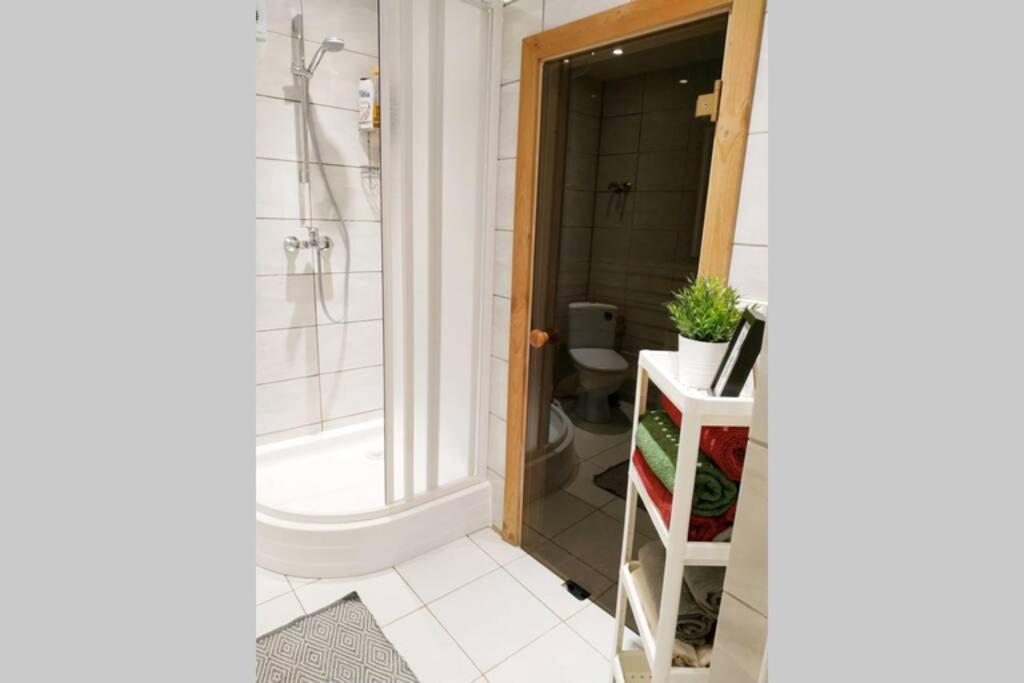 Private Sauna & 4 Bedrooms Old Town Rooftop Apartment ヴィリニュス エクステリア 写真